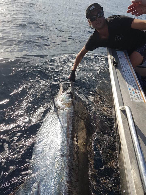 ANGLER: Jesse Ryan SPECIES: Blue Marlin WEIGHT: Est. 130kg LURE: 8" JB Little Ripper.